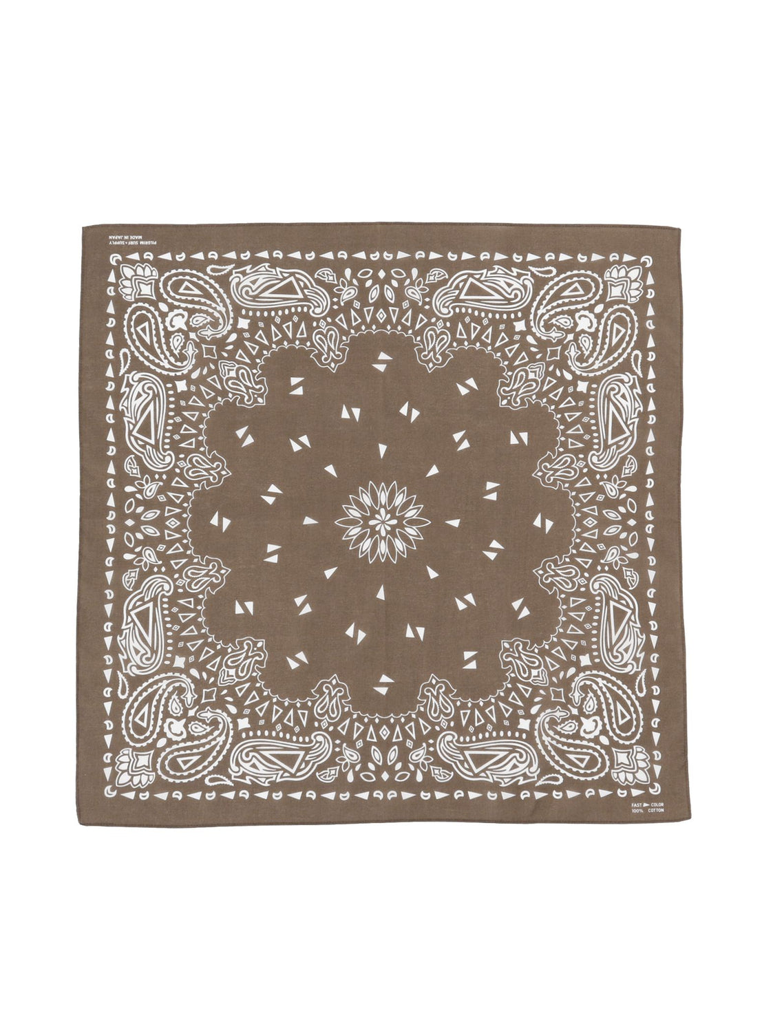 Paisley Bandana