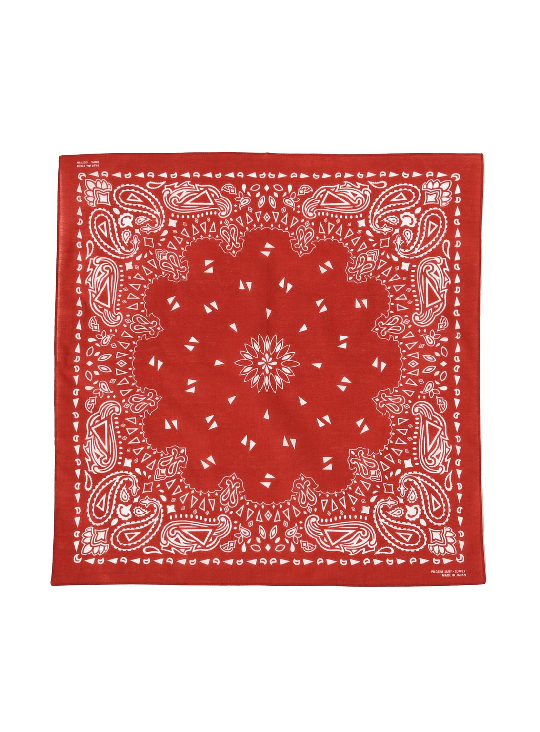 Paisley Bandana