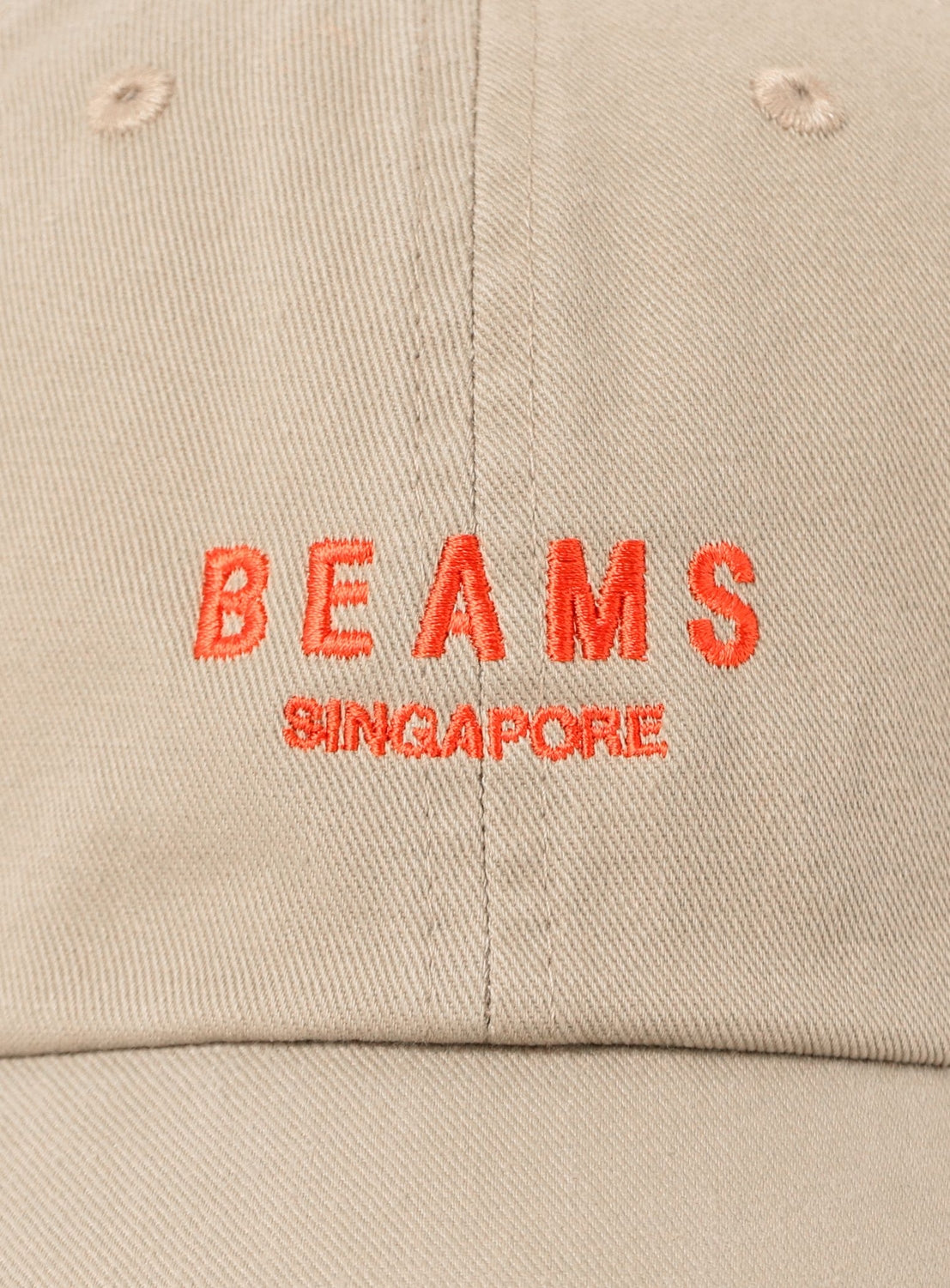 SINGAPORE Cap