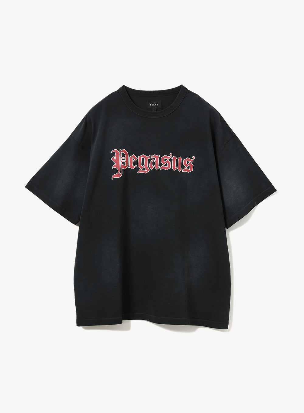 Souvenir T-Shirt