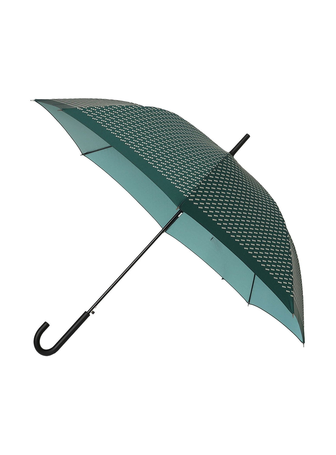 Basic Umbrella 2
