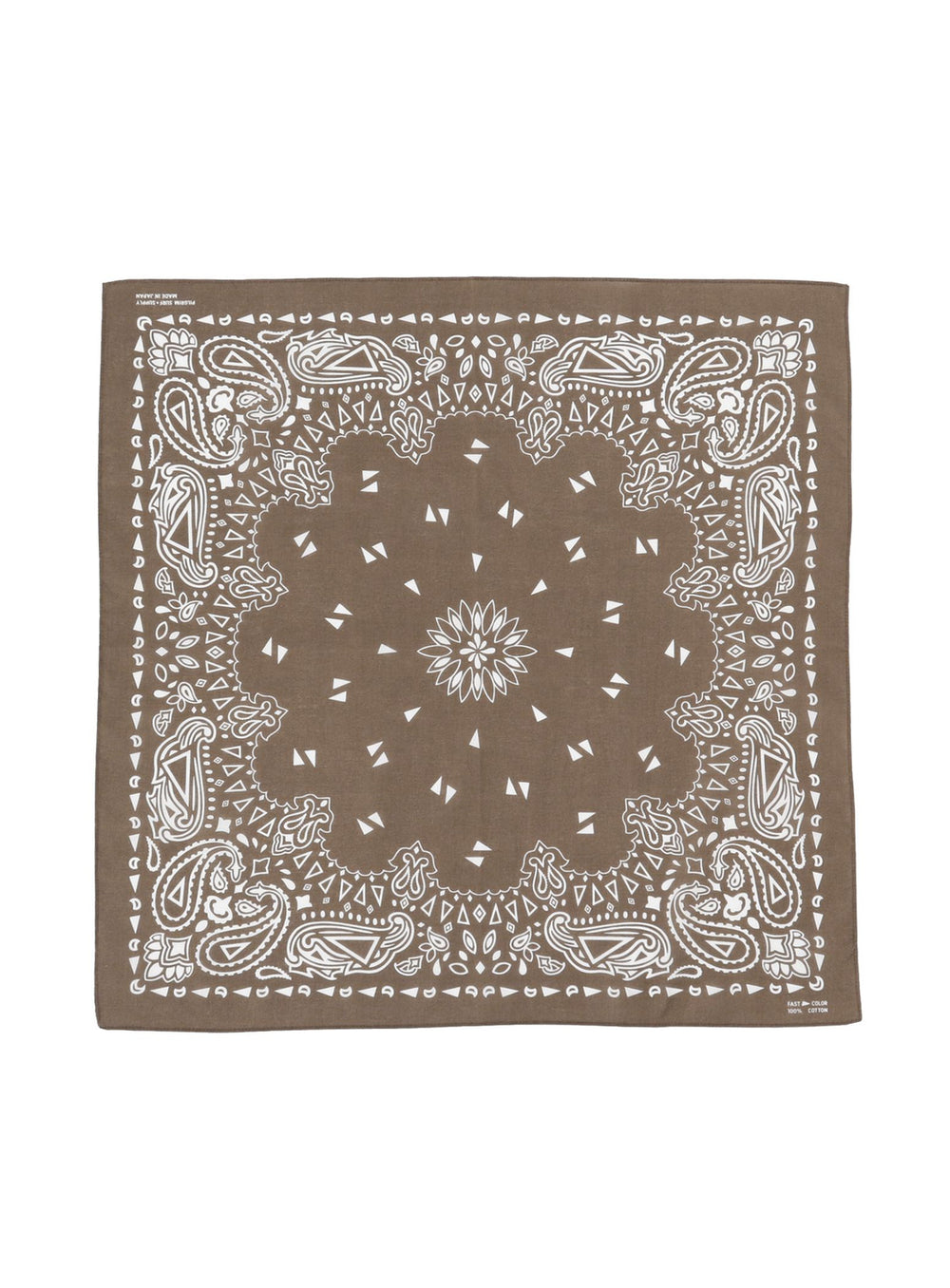 Paisley Bandana