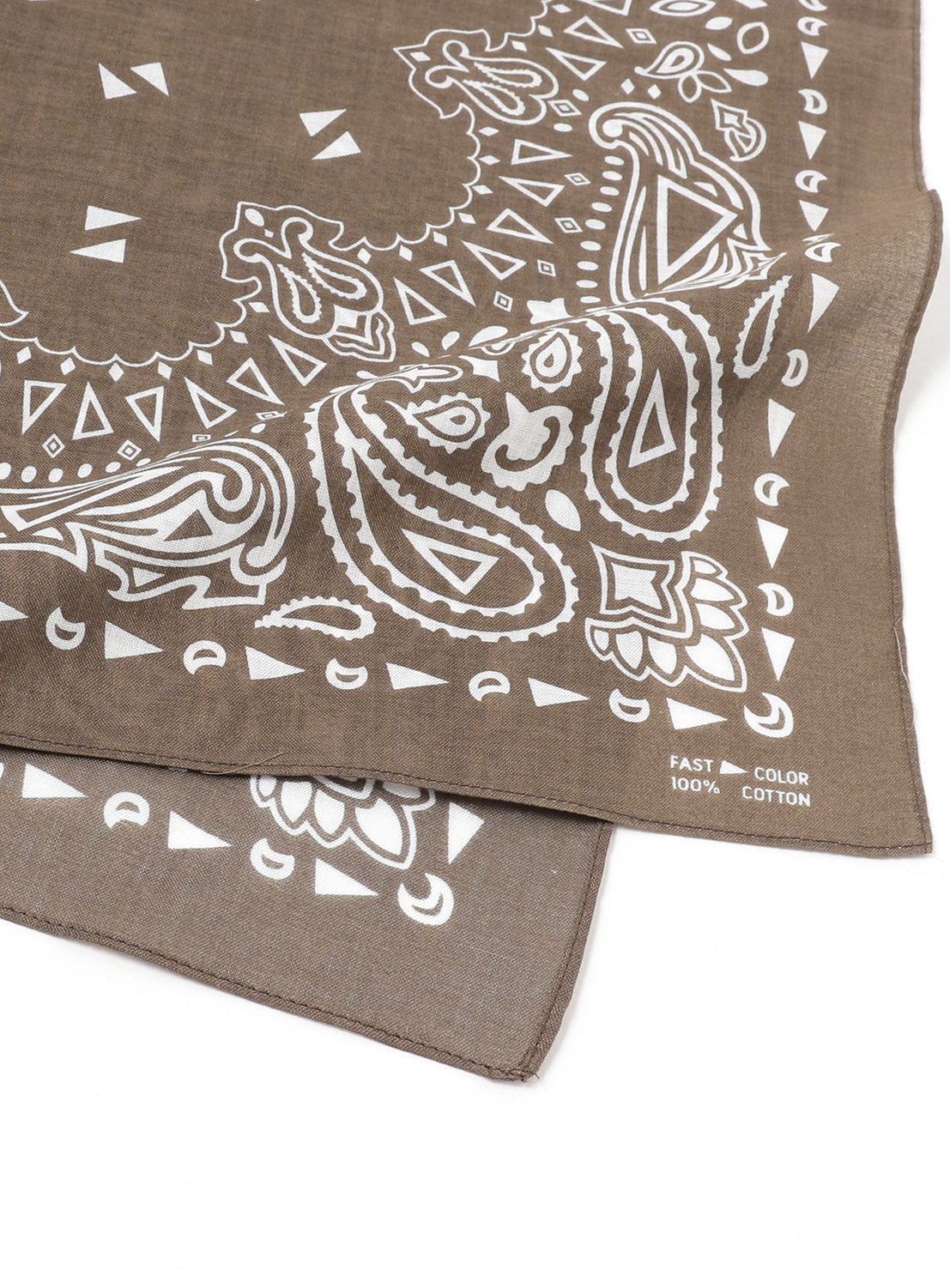 Paisley Bandana