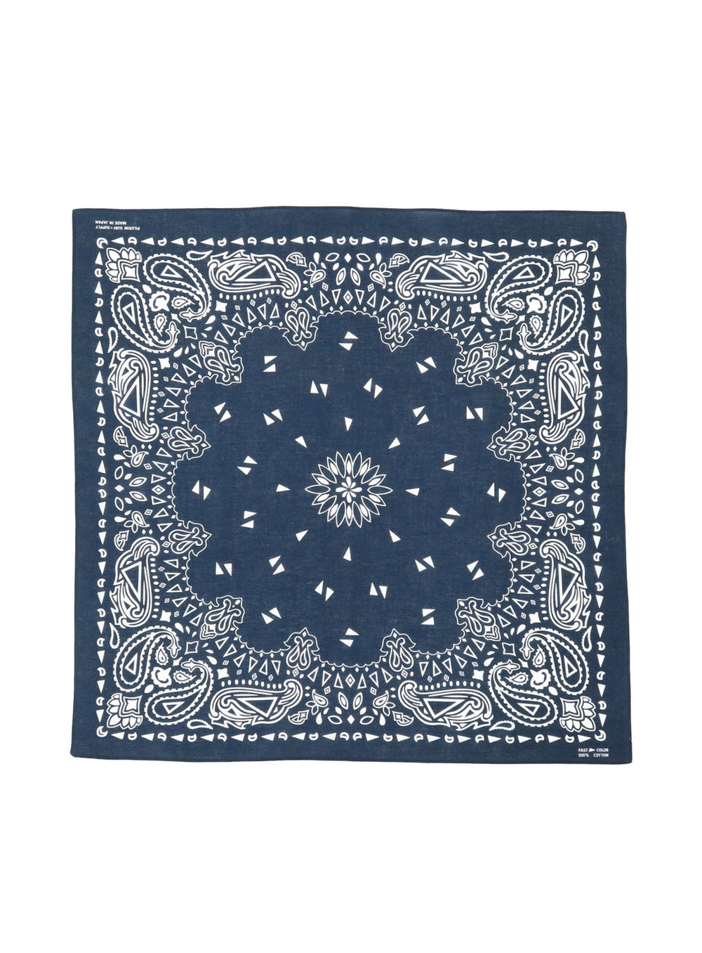 Paisley Bandana
