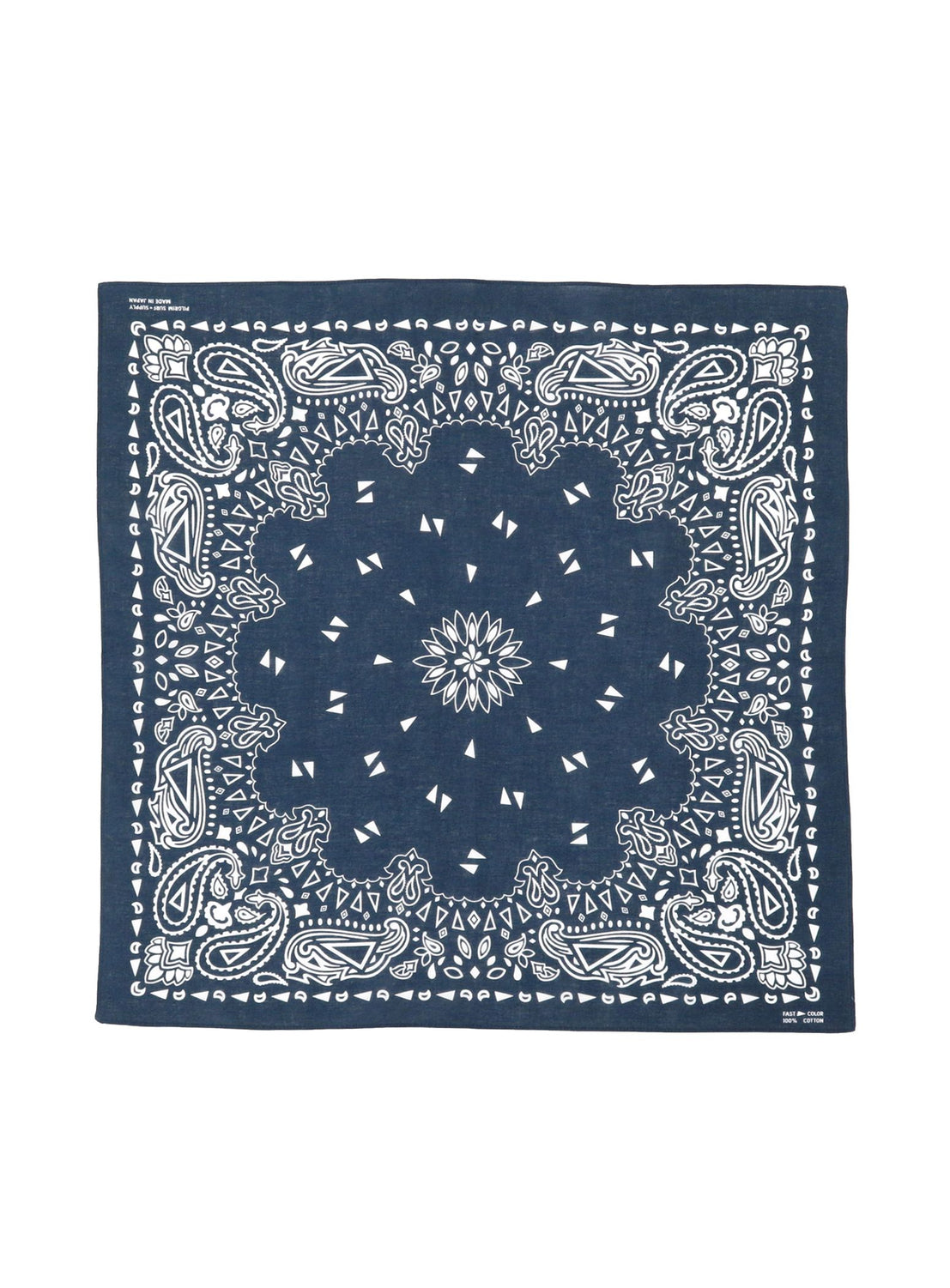 Paisley Bandana