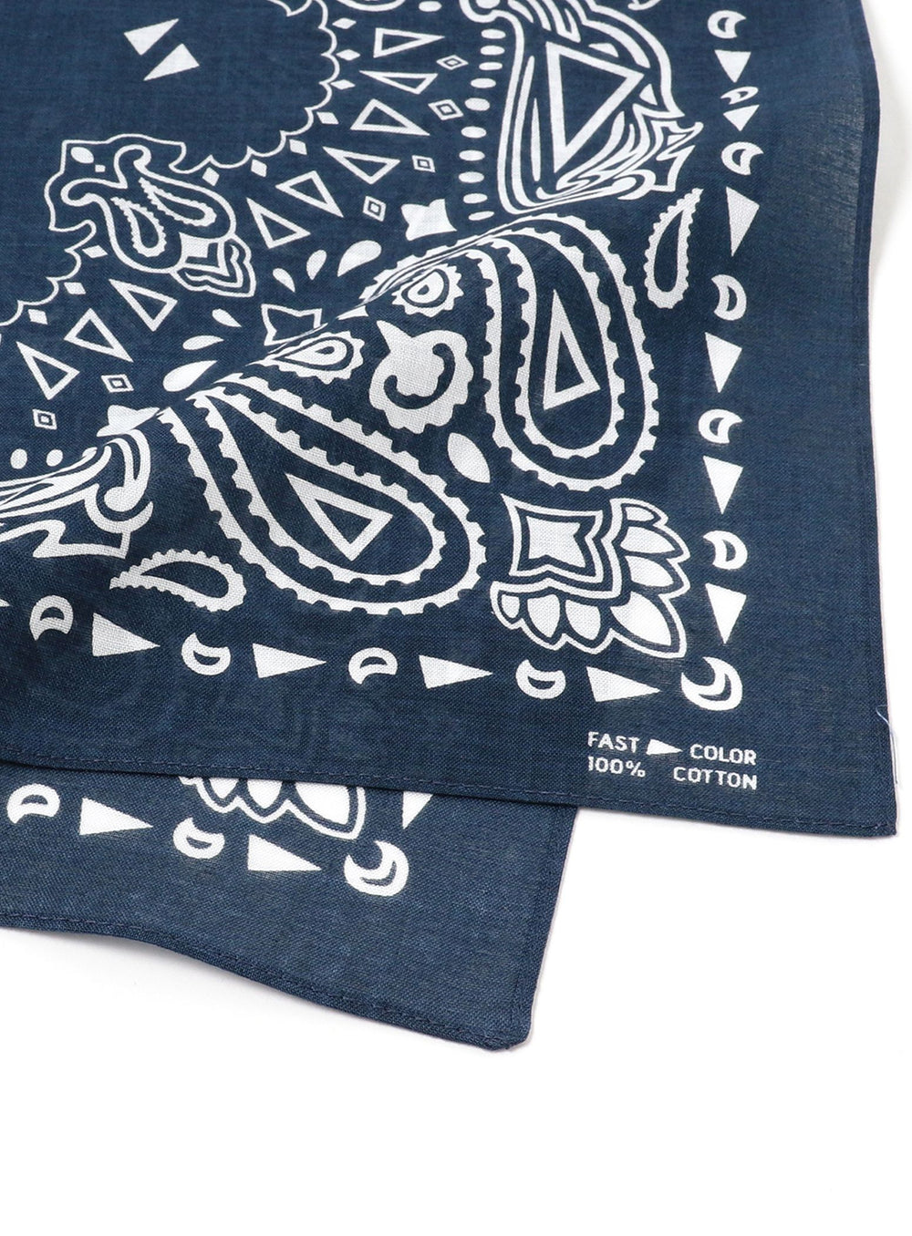 Paisley Bandana