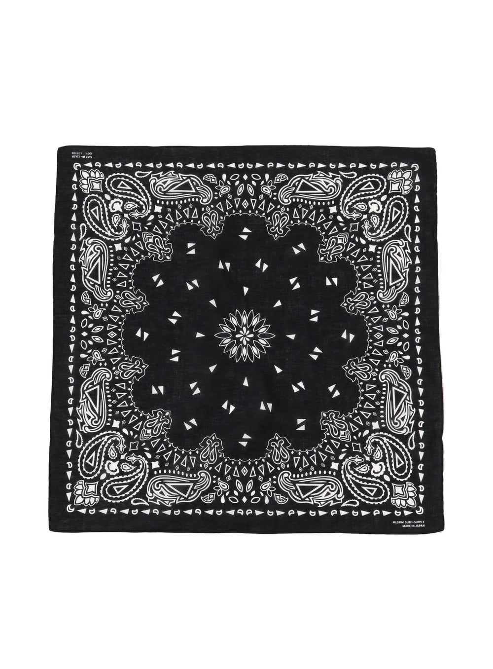 Paisley Bandana