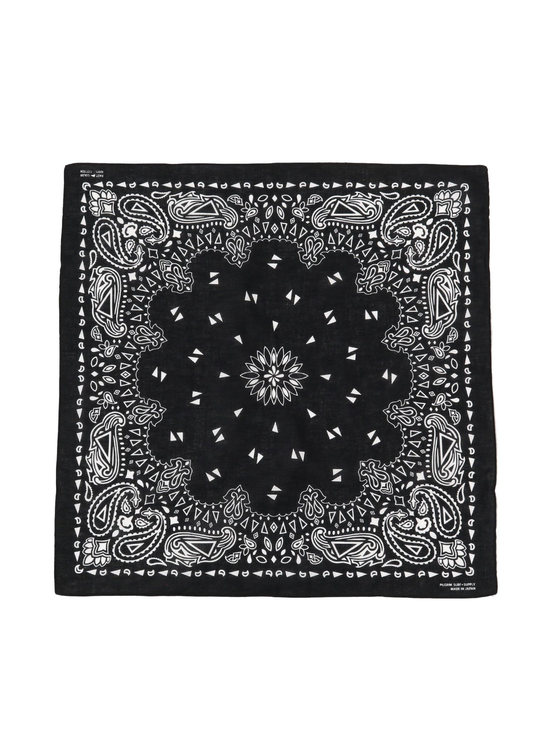 Paisley Bandana