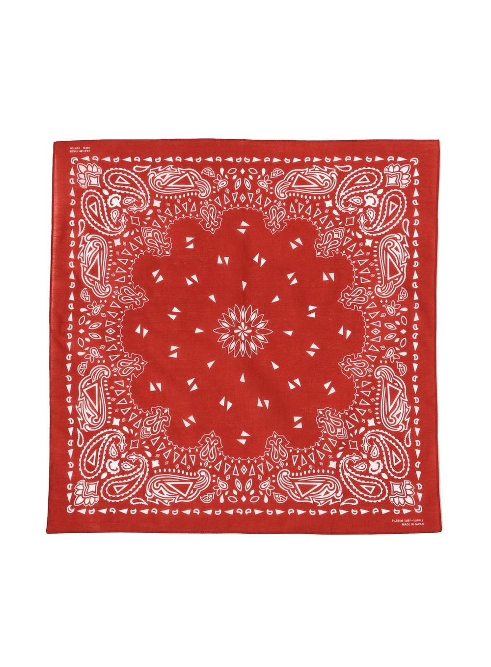 Paisley Bandana