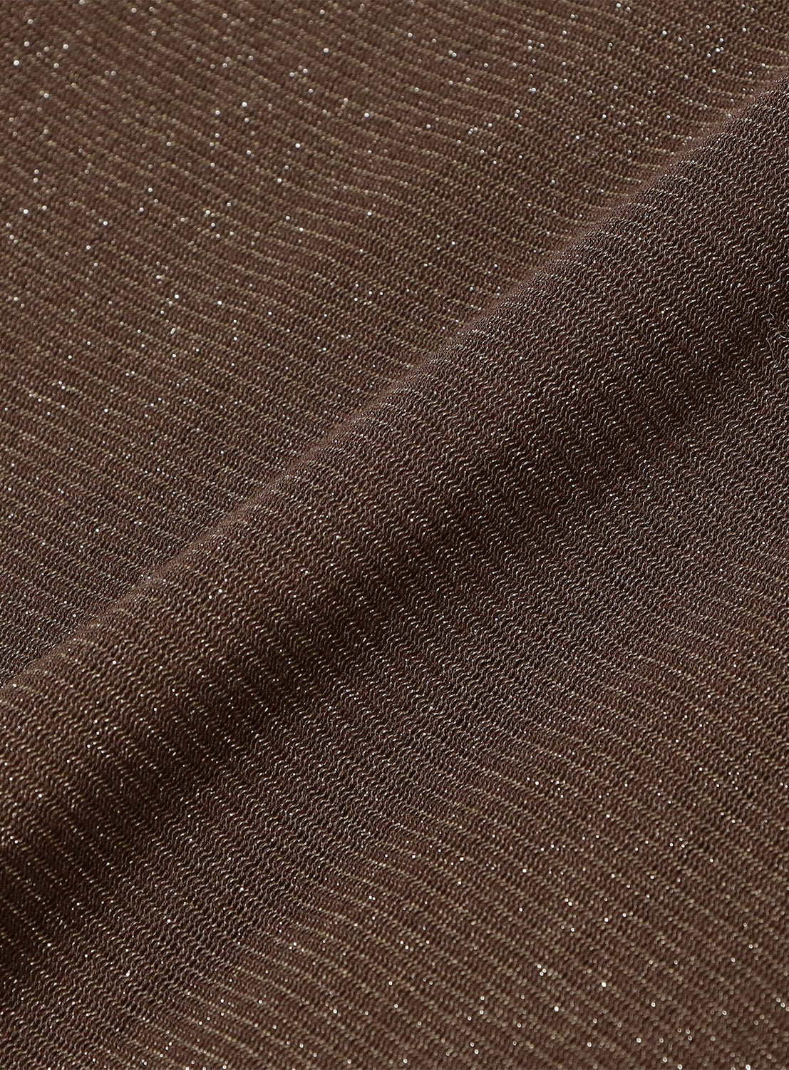 BEAMS SALON / KiraKira Sheer Long Sleeve Top