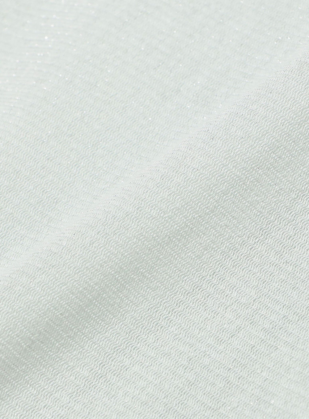 BEAMS SALON / KiraKira Sheer Long Sleeve Top