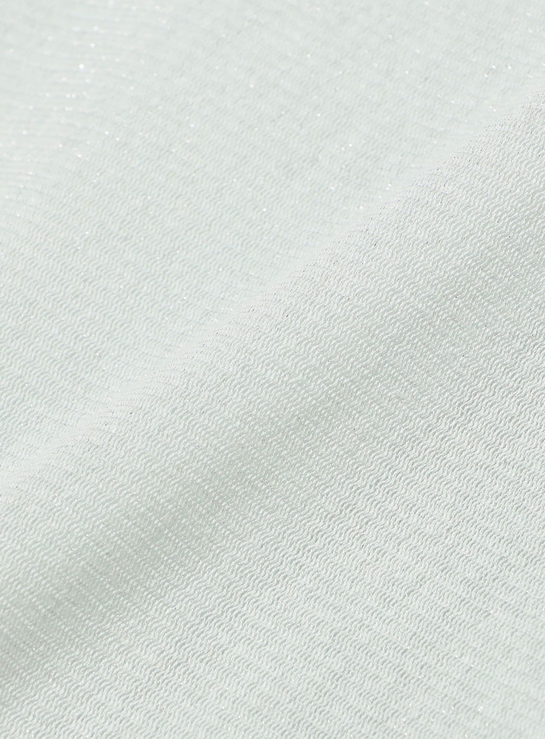 BEAMS SALON / KiraKira Sheer Long Sleeve Top