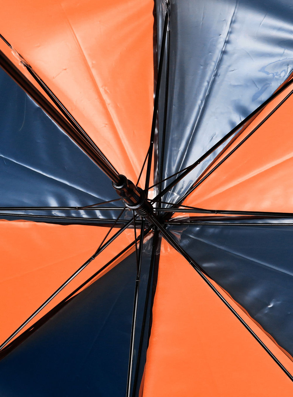 Colored Vinyl Umbrella